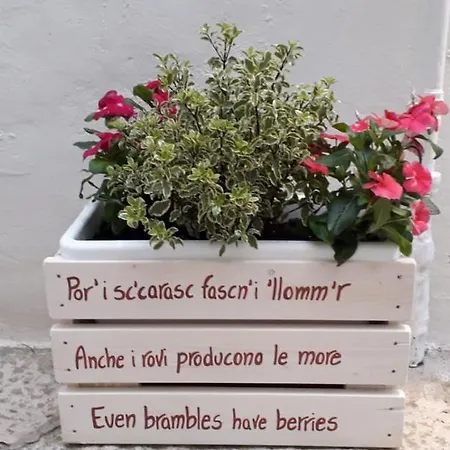 Panzió Il Vicolo Putignano